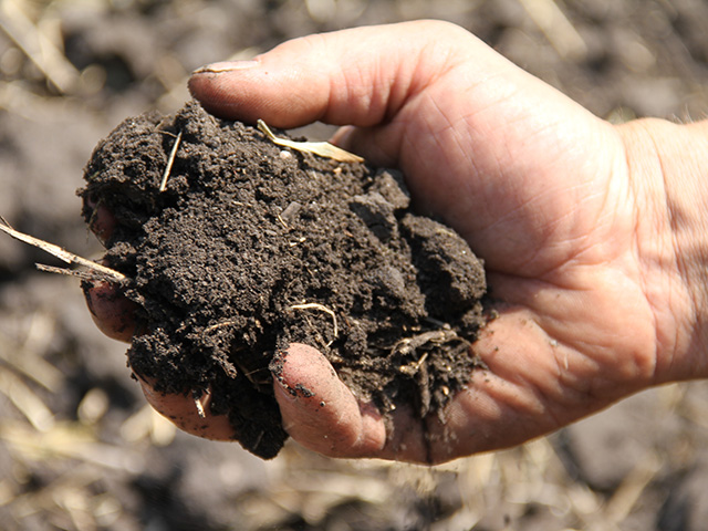 The season may be busy, but this is the right time to think about pulling soil samples. (DTN file photo)